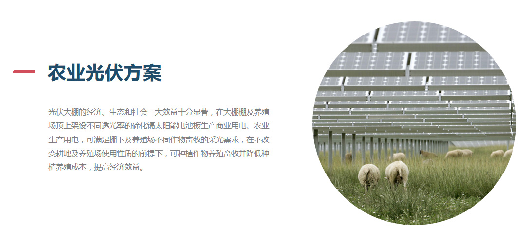 1562919654952029.jpg 重慶伴伴科技有限公司